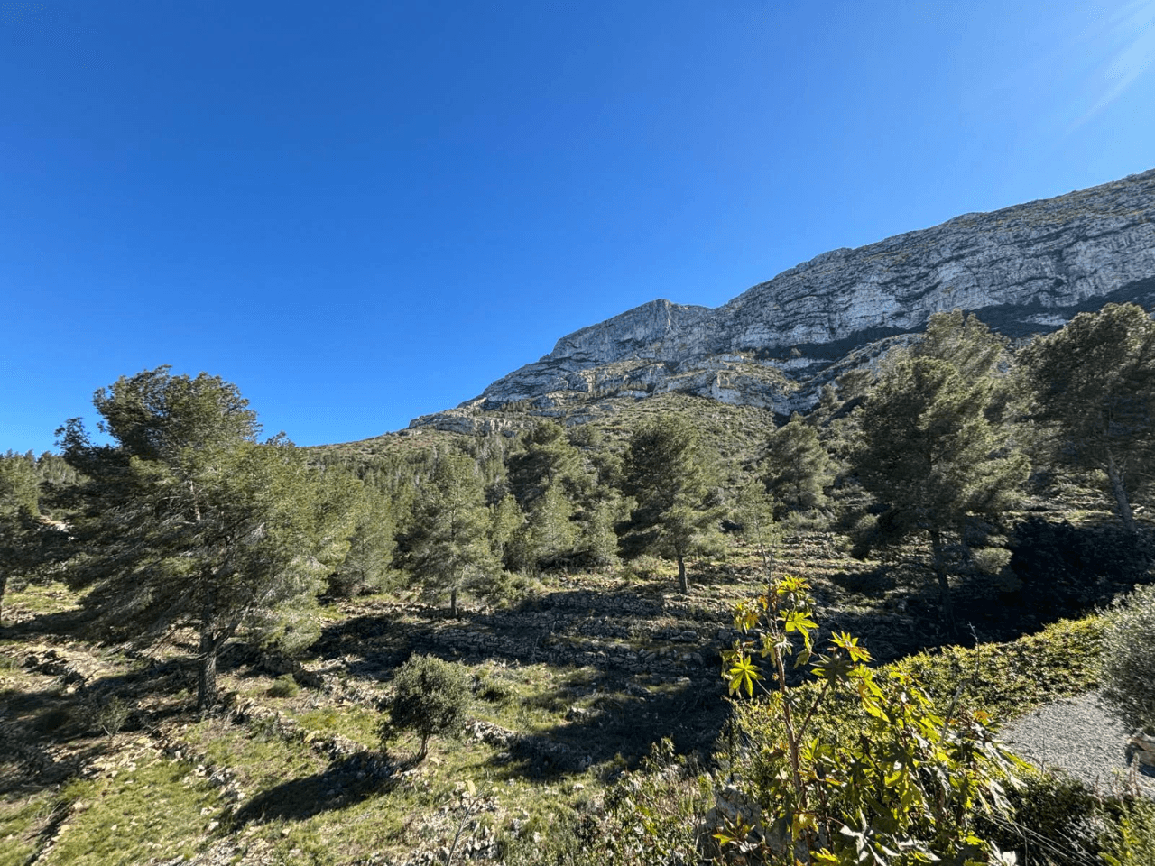 "Maison Montgó" : Projet d'Architecte avec Permis Accordé et Vues Infinites à Dénia.
